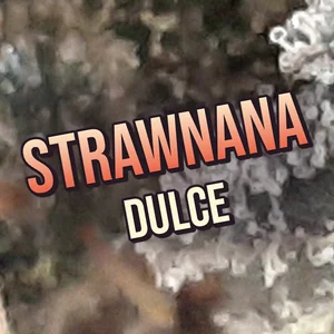 Strawnana Dulce Cannabis Strain