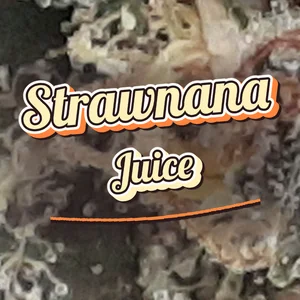 Strawnana Juice Cannabis Strain