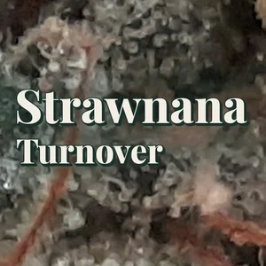 Strawnana Turnover Cannabis Strain