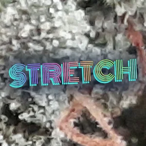 Stretch Cannabis Strain