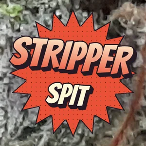Stripper Spit Cannabis Strain
