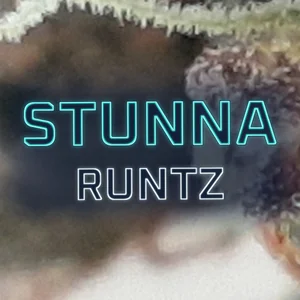 Stunna Runtz Cannabis Strain