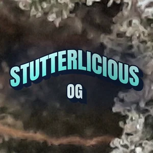 Stutterlicious OG Cannabis Strain