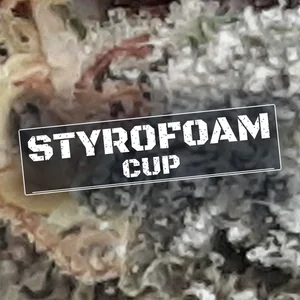 Styrofoam Cup Cannabis Strain