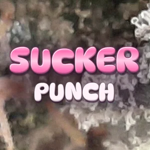 Sucker Punch Cannabis Strain