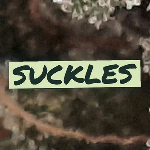 Suckles Cannabis Strain