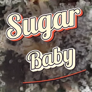 Sugar Baby Cannabis Strain