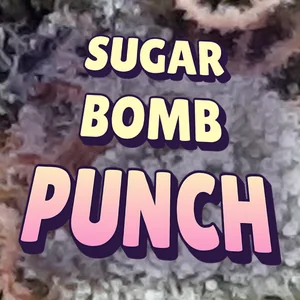 Sugar Bomb Punch Cannabis Strain