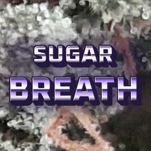 Sugar Breath Cannabis Strain