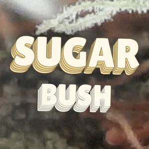 Sugar Bush Cannabis Strain
