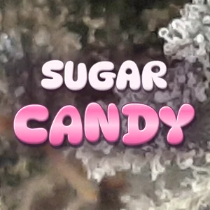 Sugar Candy Cannabis Strain