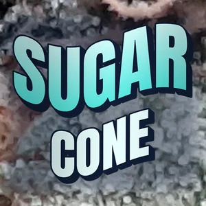 Sugar Cone Cannabis Strain