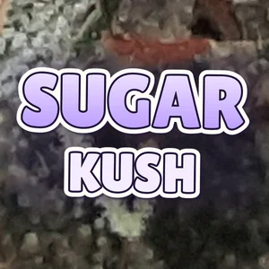 Sugar Kush Cannabis Strain
