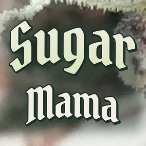 Sugar Mama Cannabis Strain