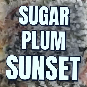 Sugar Plum Sunset Cannabis Strain