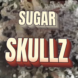 Sugar Skullz Cannabis Strain