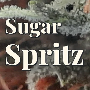 Sugar Spritz Cannabis Strain
