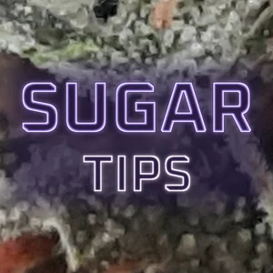 Sugar Tips Cannabis Strain