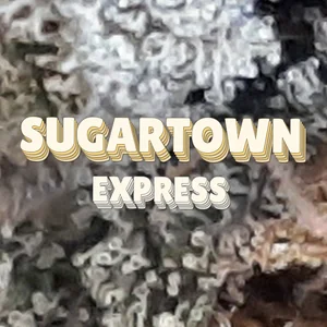 Sugartown Express Cannabis Strain