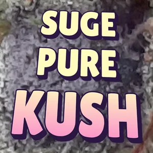 Suge Pure Kush Cannabis Strain