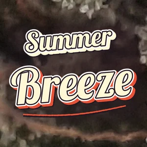 Summer Breeze Cannabis Strain