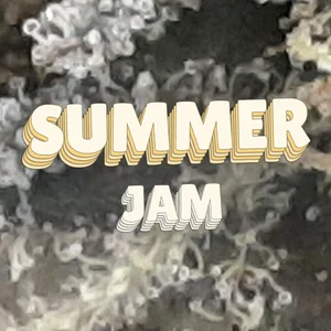 Summer Jam Cannabis Strain