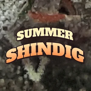 Summer Shindig Cannabis Strain