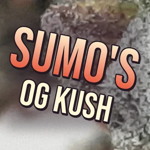 Sumo's OG Kush Cannabis Strain