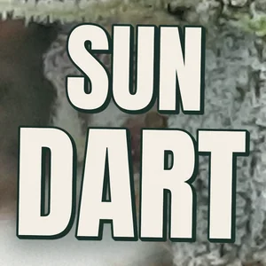 Sun Dart Cannabis Strain