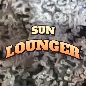 Sun Lounger Cannabis Strain