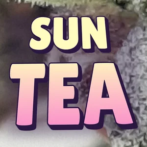 Sun Tea Cannabis Strain