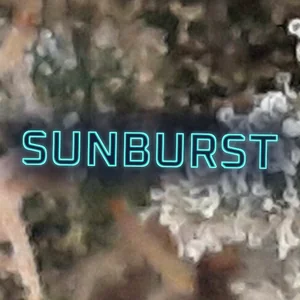Sunburst Cannabis Strain
