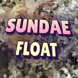 Sundae Float Cannabis Strain