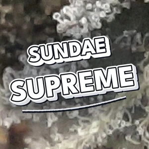 Sundae Supreme Cannabis Strain