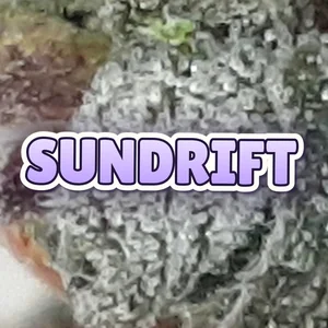 Sundrift Cannabis Strain