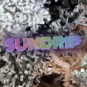 Sundrip Cannabis Strain