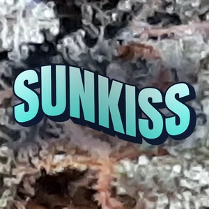 Sunkiss Cannabis Strain