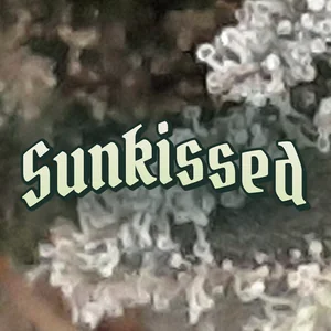 Sunkissed Cannabis Strain