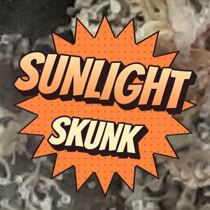 Sunlight Skunk Cannabis Strain