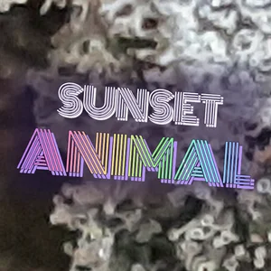 Sunset Animal Cannabis Strain