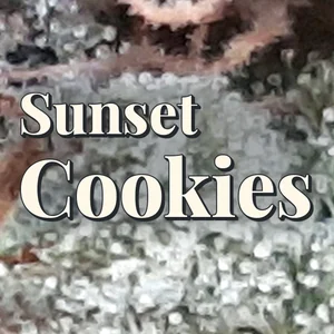 Sunset Cookies Cannabis Strain