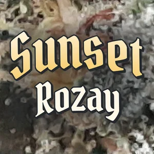 Sunset Rozay Cannabis Strain
