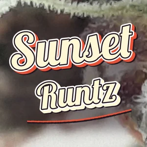 Sunset Runtz Cannabis Strain