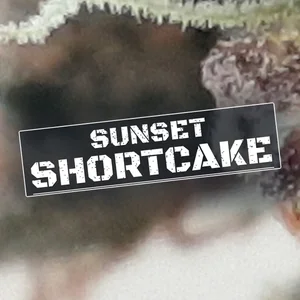Sunset Shortcake Cannabis Strain