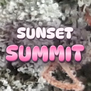 Sunset Summit Cannabis Strain