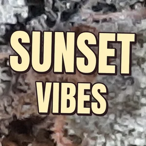 Sunset Vibes Cannabis Strain