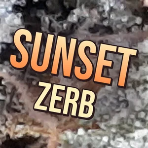 Sunset Zerb Cannabis Strain