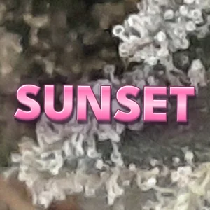Sunset Cannabis Strain