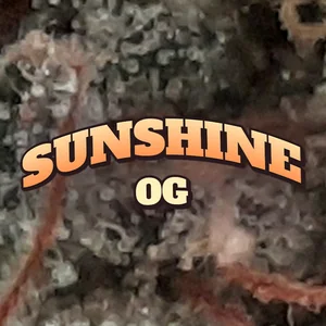 Sunshine OG Cannabis Strain