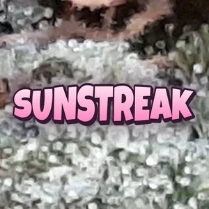 Sunstreak Cannabis Strain